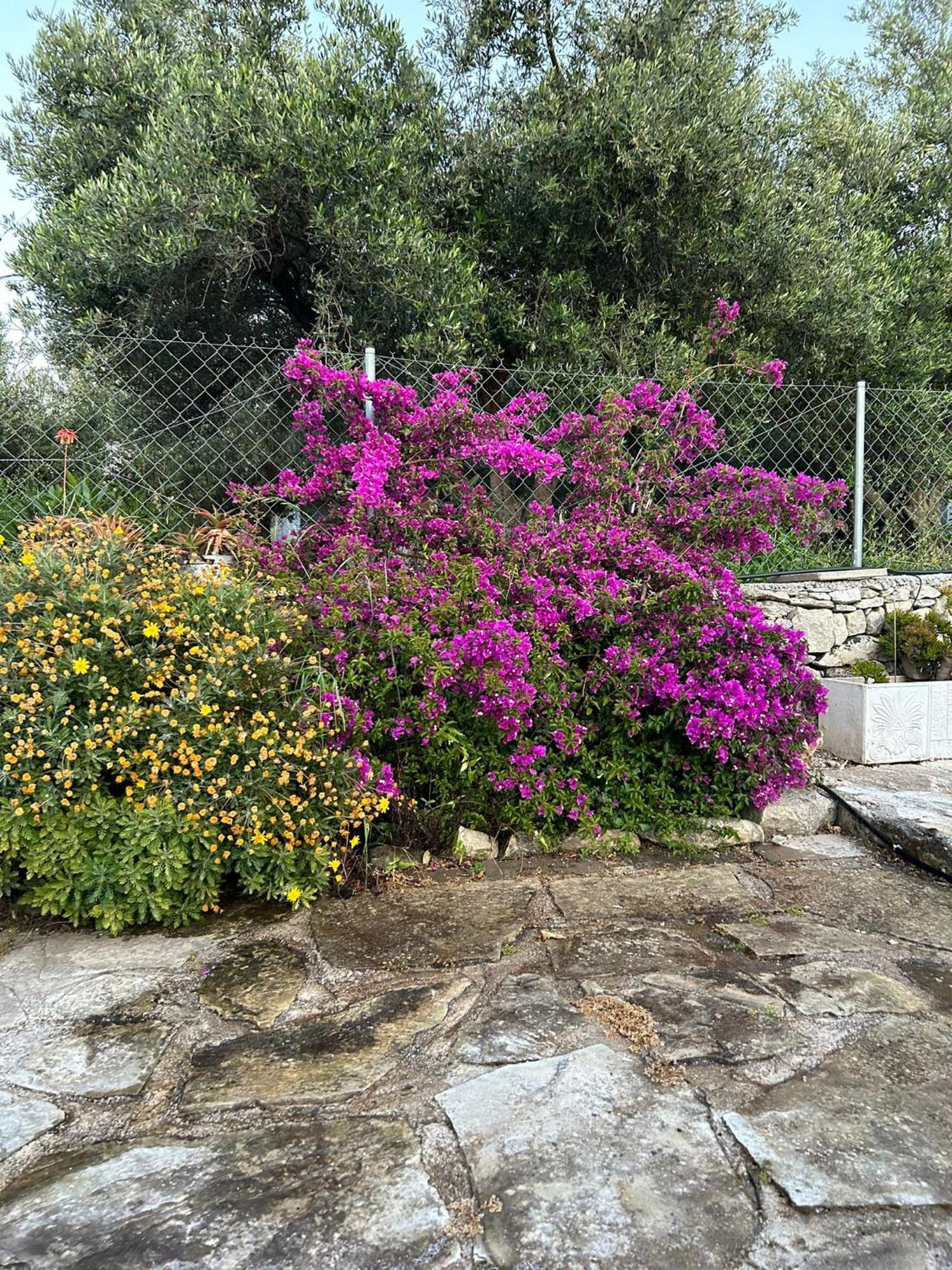 Old Stone Villa In Apokoronas Villa Nostalgia Kreta Fílippos Dış mekan fotoğraf